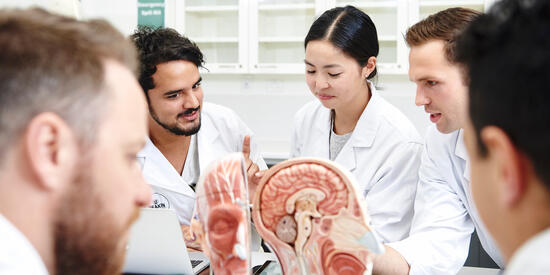 	Students with a model brain