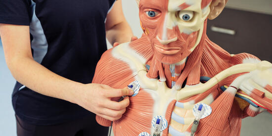 Student with a stethoscope and demonstration body