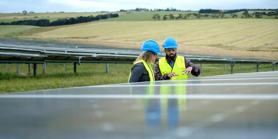 Students taking notes near solar farm.