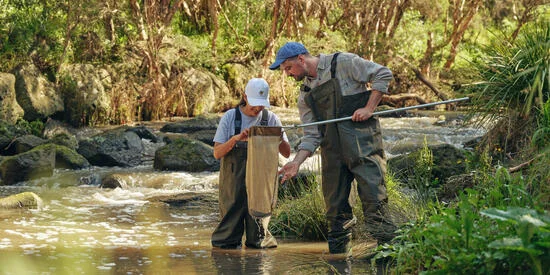 Environmental Management and Sustainability students participate in water quality testing practical at Gardiner's Creek, Burwood.