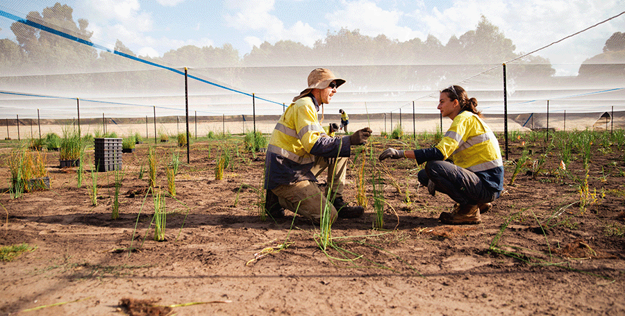 Two water management experts talking at site