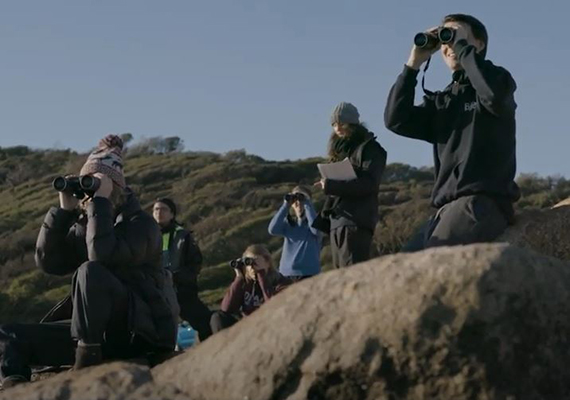 Wildlife and Conservation Biology at Deakin