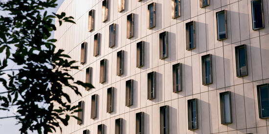 Institute for Citizenship and Globalisation