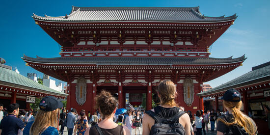 Want to explore the world? Choose the right degree