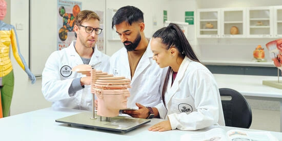 Deakin medical students looking at a model of a brain