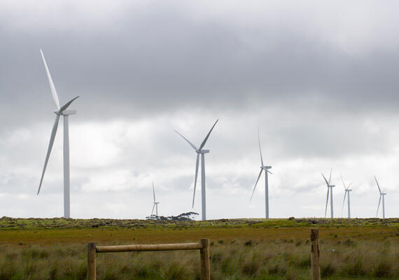 A wind farm in a field.