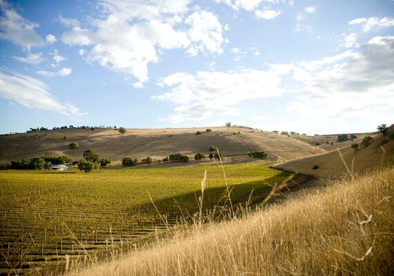 A regional landscape.
