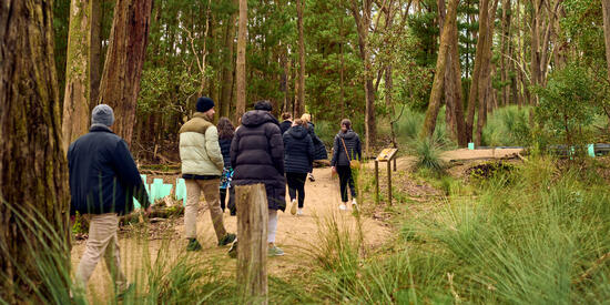Deakin University students walking in Australian bushland