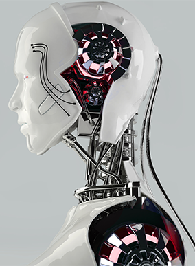 A robotic head