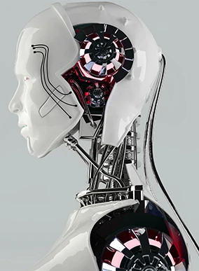 A robotic head