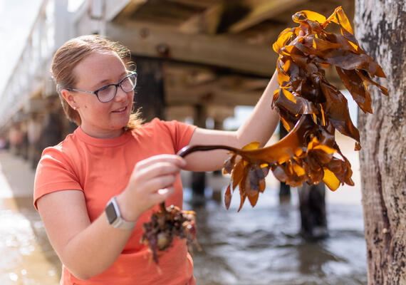 A marine researcher stands on Queenscliff beach holding seaweed and smiling.