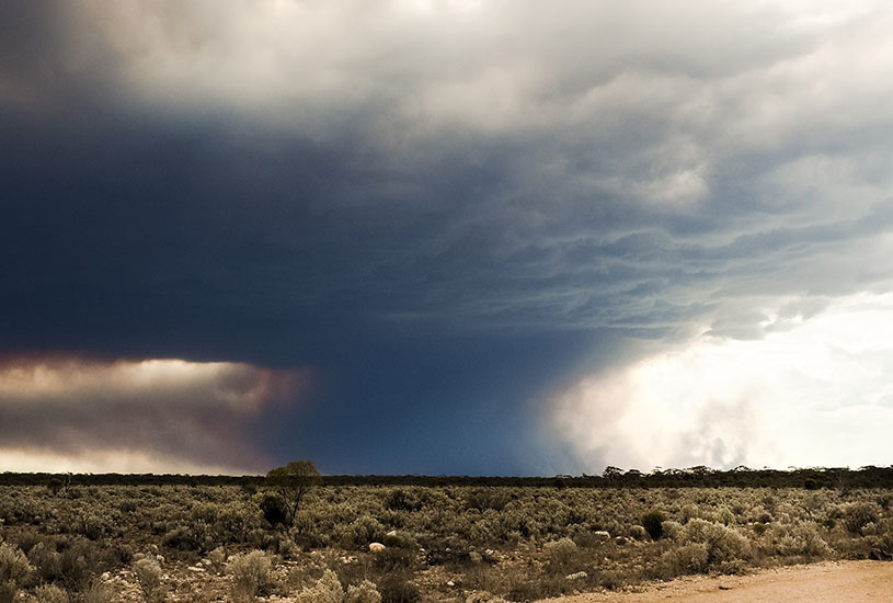 Drought, bushfire, flood, hail, and dust: local action the way forward for sustainability