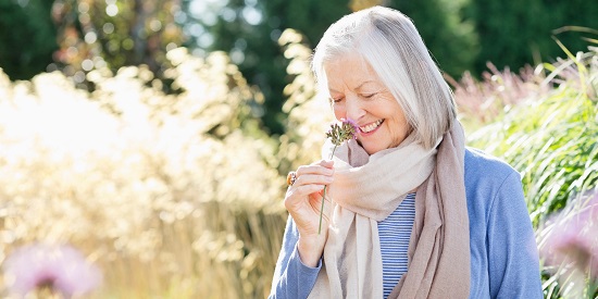 Passing the sniff test: Can we train our brain to boost smell and memory?