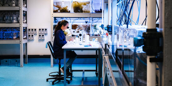 Marine Facilities at the Queenscliff Marine Science Centre laboratory.