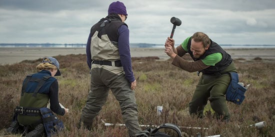 Swapping business shoes for gumboots: Blue Carbon Lab brings executives into Australia's wetlands 