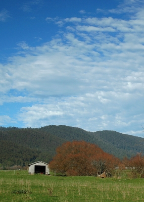 Warrnambool landscape