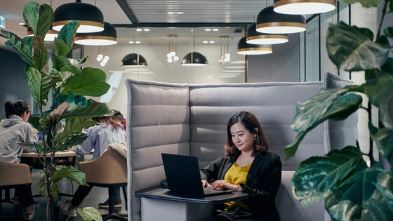Deakin master of politics and policy student sits at desk and works on laptop in office space.