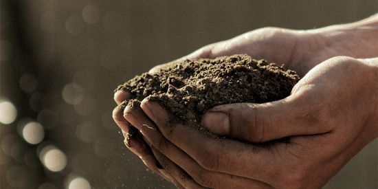 Hands cupping soil