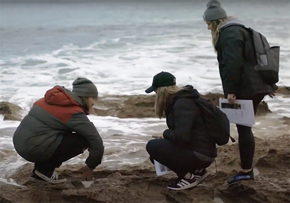 Three students at the beach examining the water and rocks