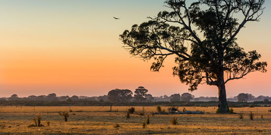 Rural landscape