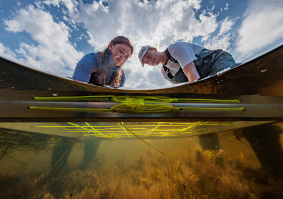 Two researchers take samples at the Deakin Queenscliff Marine Centre.