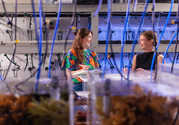 Two researchers working at the Queenscliff Marine Centre.