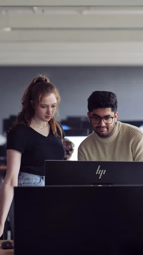 Professional versus standard information technology degrees.
