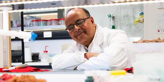 Research partner with pigment particles extracted from used textiles.