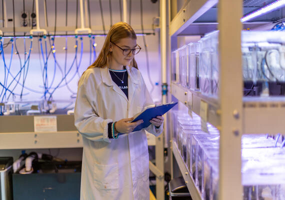 Student working in the queenscliff lab