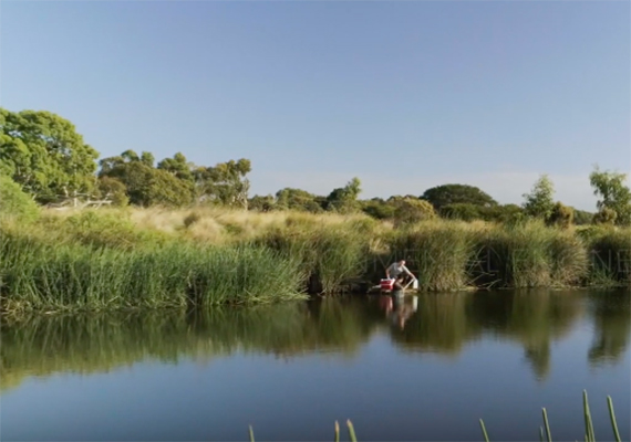 A body of water with reeds. Study the rapidly growing field of environmental engineering at Deakin.