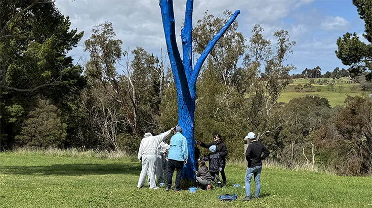 Trees are painted blue at the Waurn Ponds Campus