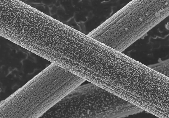 Carbon fibre composite electron microscopy