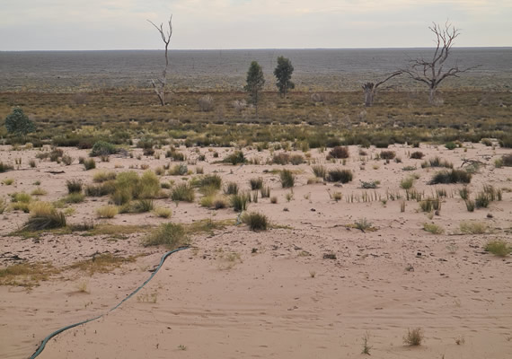 Arid landscape.
