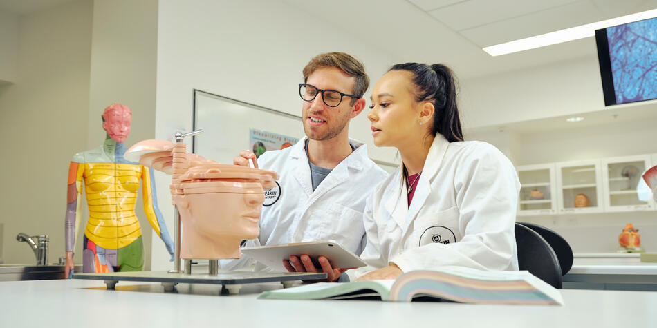 Psychology researchers looking at a brain model