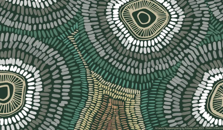 Indigenous artwork