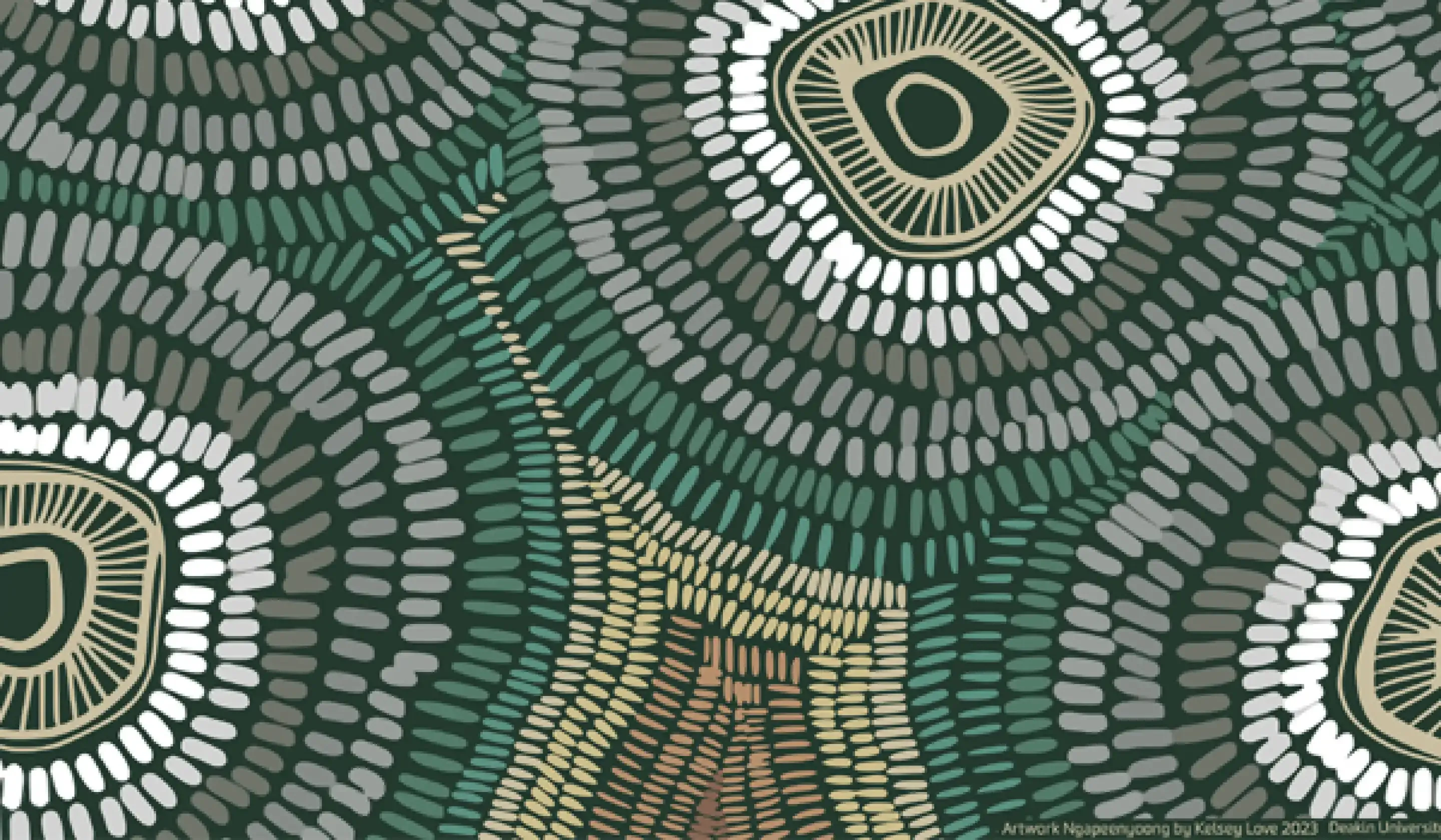 Indigenous artwork