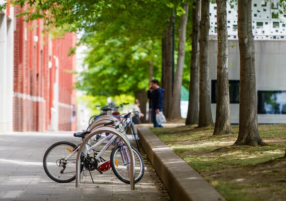 Photo of bikes parked safely outside campus
