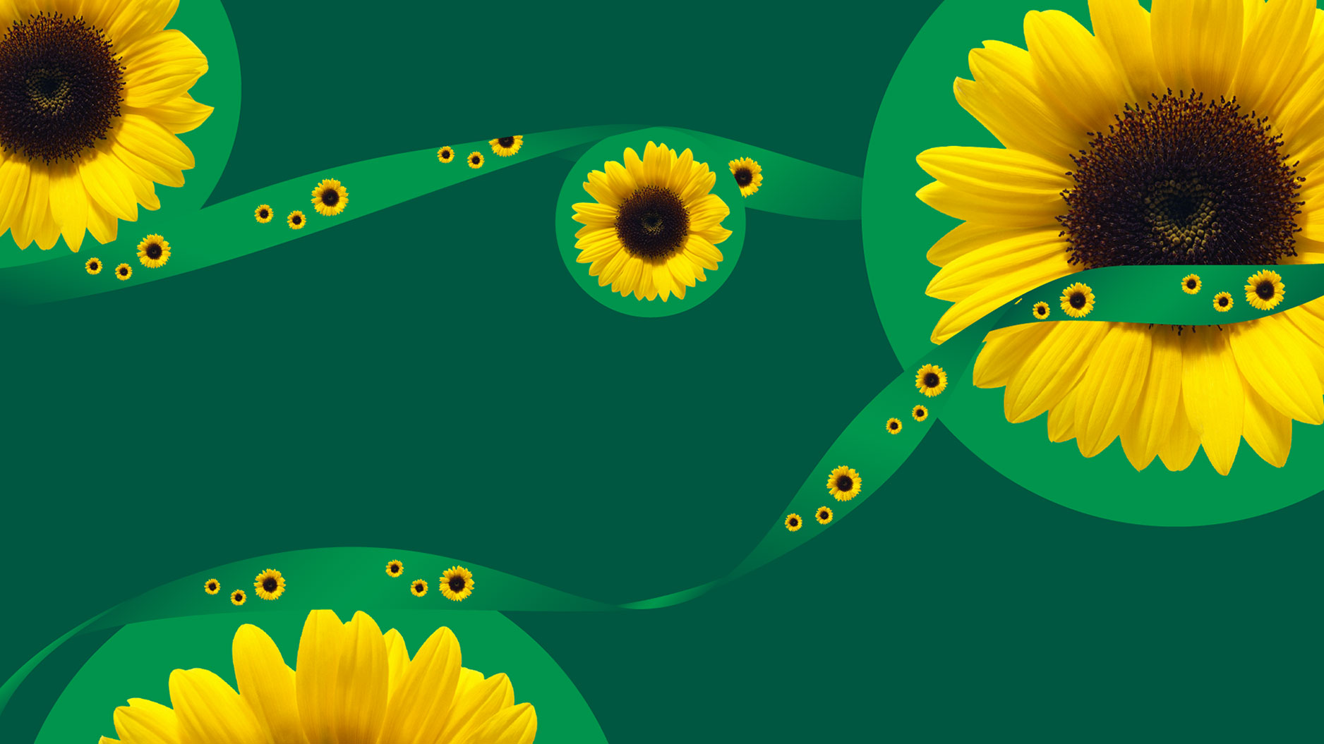 Image of the green and yellow sunflower logo and lanyard design
