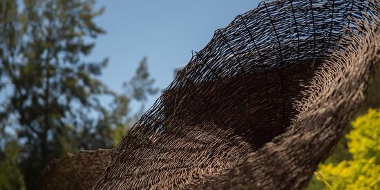'Poles Apart' sculpture by Brigit Heller, located outside the art gallery, near building P. It is a woven basket style sculpture in front of trees and a blue sky.