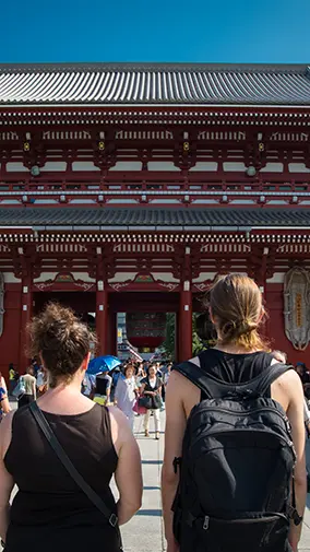 Want to explore the world? Choose the right degree.