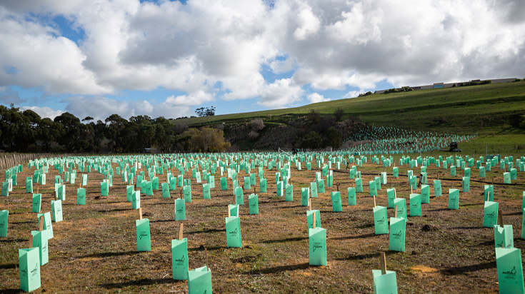 Tree Planting Day 2026