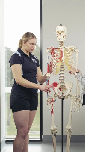 Learn how biomechanics shapes sporting success.