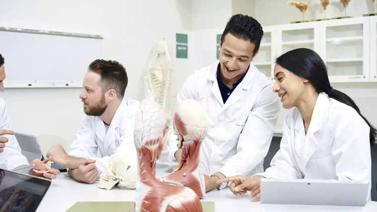 Medicine students examining model of human arm