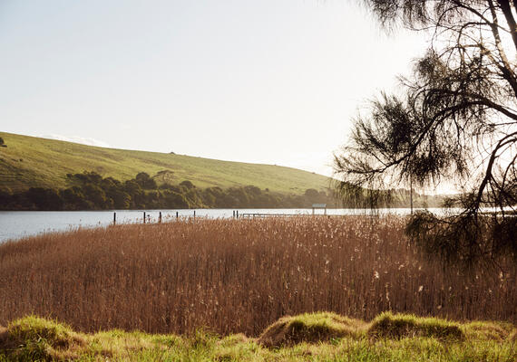 A rural landscape of a lake 