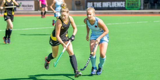 Two female hockey players both go for the ball mid-game. One is in a light blue uniform and the other is in a black and yellow uniform.