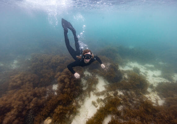 Deakin student diving underwater on an international study experience.