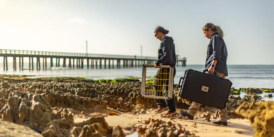 Marine Science students at Point Lonsdale.