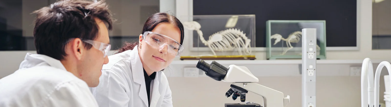Bachelor of Science (Honours)