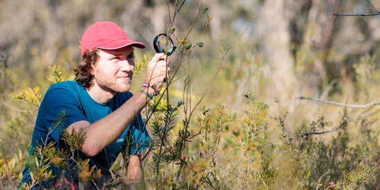 A student holding a magnifying glass.