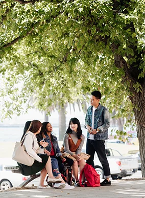 Students sitting under a tree at Deakin's Waterfront campus